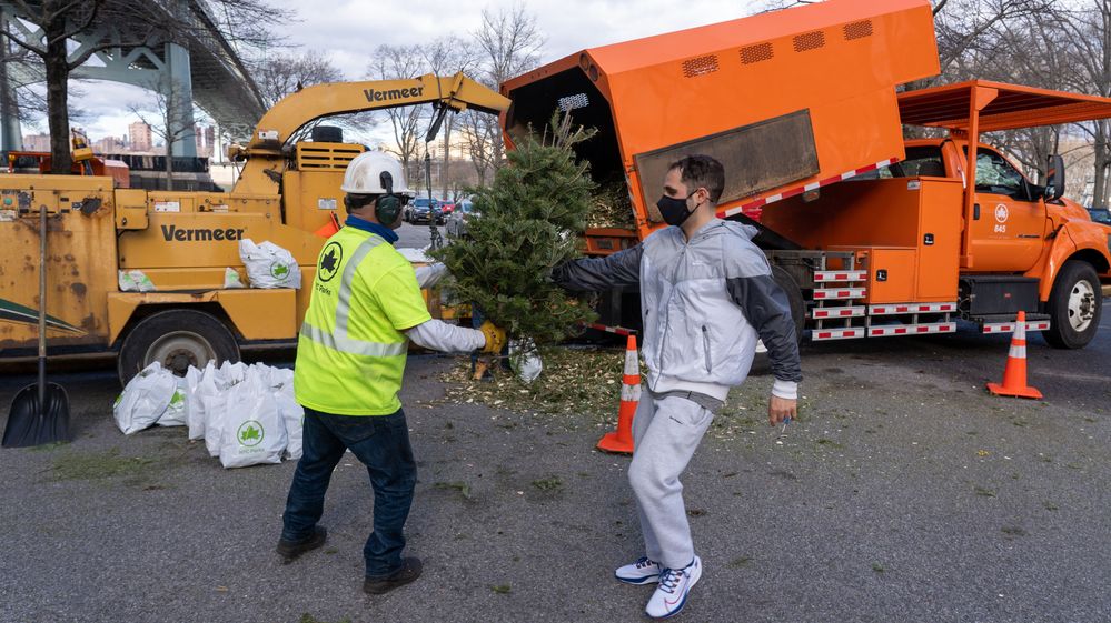 Fotky: Nemusí se válet u popelnic. Zbavit se vánočního stromku jde i chytře